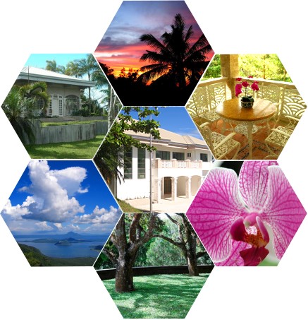 academy of world healing foundation