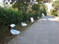 DSCN344700140014_thumb.png
