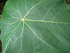 IMG_09510042_thumb.png