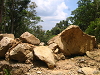 IMG_09780069_thumb.png